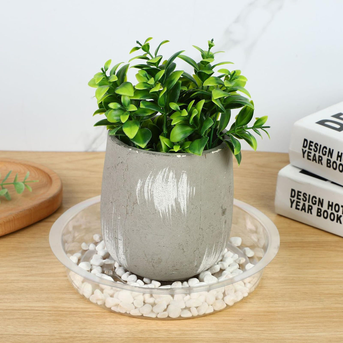 Hyuetrsa 100-pack clear saucers for neat, contained plant setups.