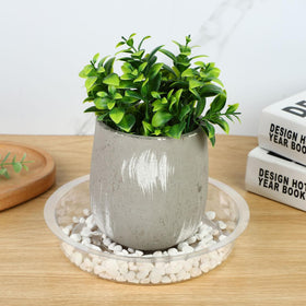 Hyuetrsa 100-pack clear saucers for neat, contained plant setups.