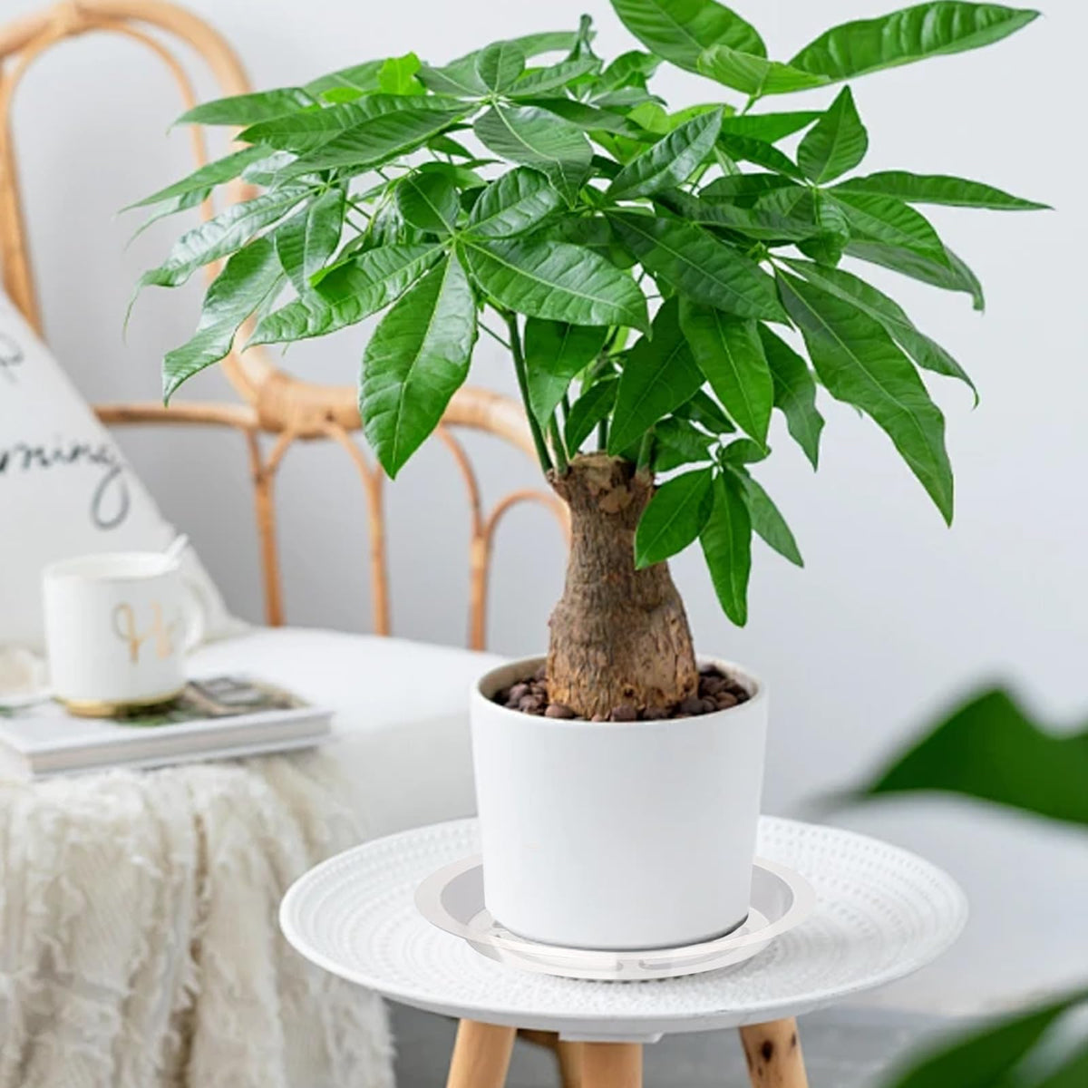 Hyuetrsa DIY-friendly clear tray for decor and garden projects.