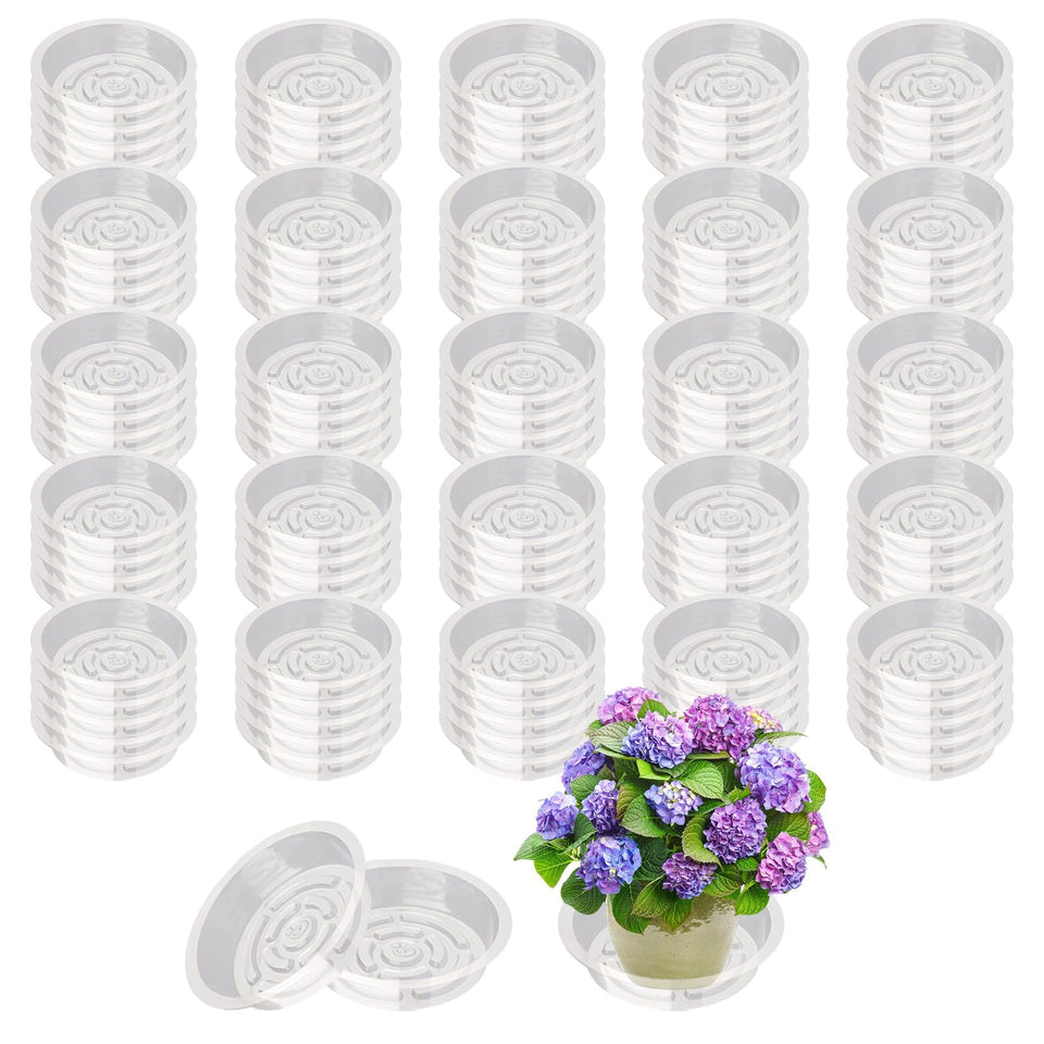 Hyuetrsa 6-inch clear plant tray for clean drainage indoors and outdoors.