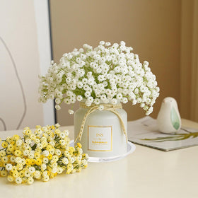 Hyuetrsa sturdy clear plant saucer protecting furniture from moisture.