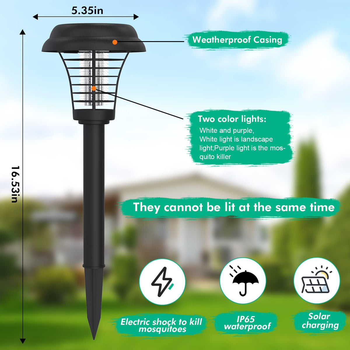 Hywean solar bug zapper on patio during evening use for pest deterrence.