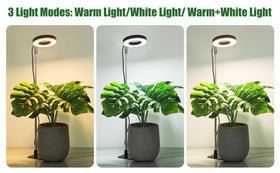 Hywyimlait 180-degree rotating ring directs light precisely where needed