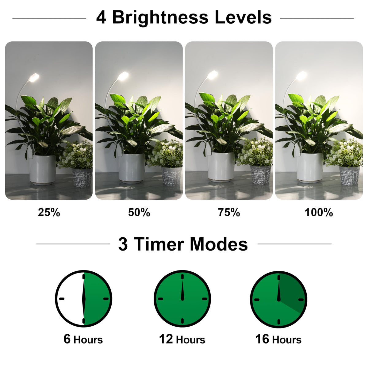 Hywyimlait 16 LEDs 4000K full-spectrum lighting for healthy growth