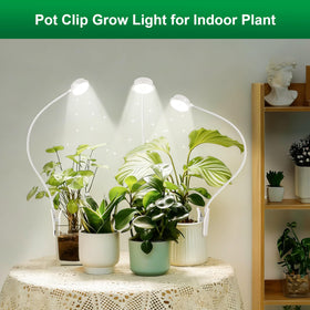 Hywyimlait desk-friendly plant light for table or office use