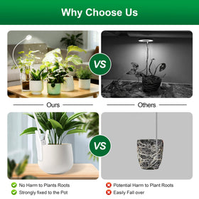 Hywyimlait full-spectrum lamp delivers natural-looking light for foliage