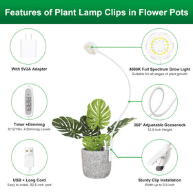Hywyimlait ideal for indoor succulents and tiny greens at home