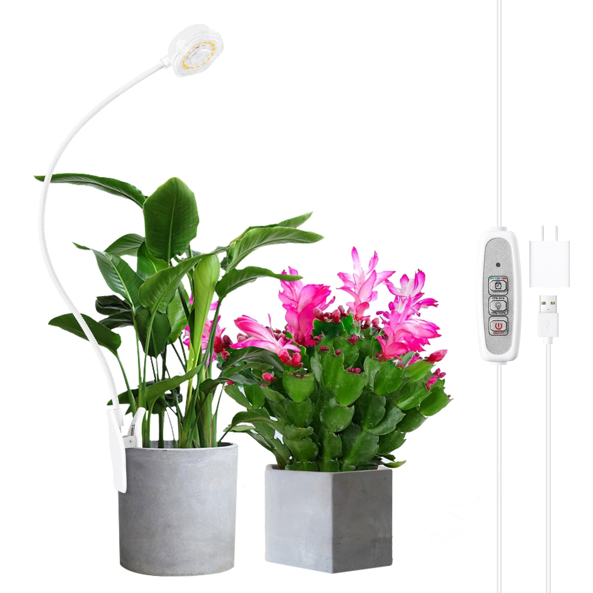 Hywyimlait Grow Light pot-clip setup for compact indoor gardens