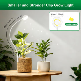 Hywyimlait timer options help maintain consistent daily lighting
