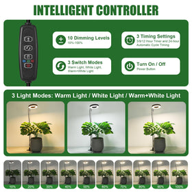 Hywyimlait halo plant light base supports a potted plant with even illumination
