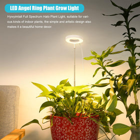 Hywyimlait Halo Ring Grow Light over small plants for steady growth.