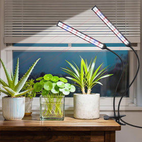 Hywyimlait indoor garden setup on a compact windowsill or desk