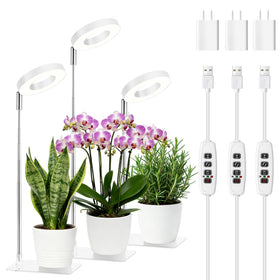 Hywyimlait White Halo Grow Light with Base provides versatile indoor lighting for potted plants.