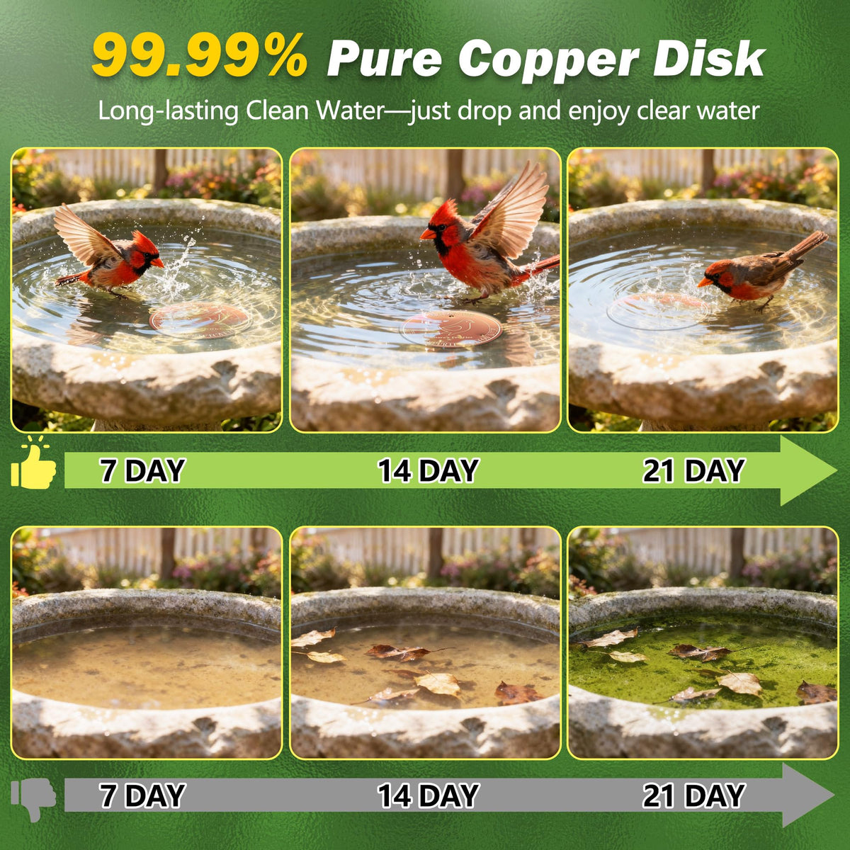 HYXBXSS all-season copper disk maintains clarity without interfering with fountains.