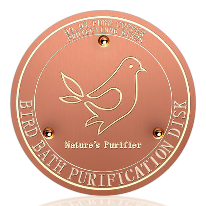 HYXBXSS copper bird bath disk close-up showing purified water for birds.