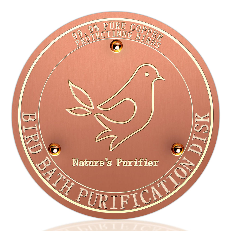 HYXBXSS copper bird bath disk close-up showing purified water for birds.