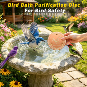 HYXBXSS copper disk with triple-support stabilizes water contact for birds.