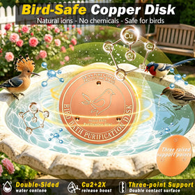 HYXBXSS 3.9-inch copper disk supports consistent water exposure in bowls.