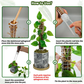 HYYZ moss pole assembly shows quick easy setup for beginners.