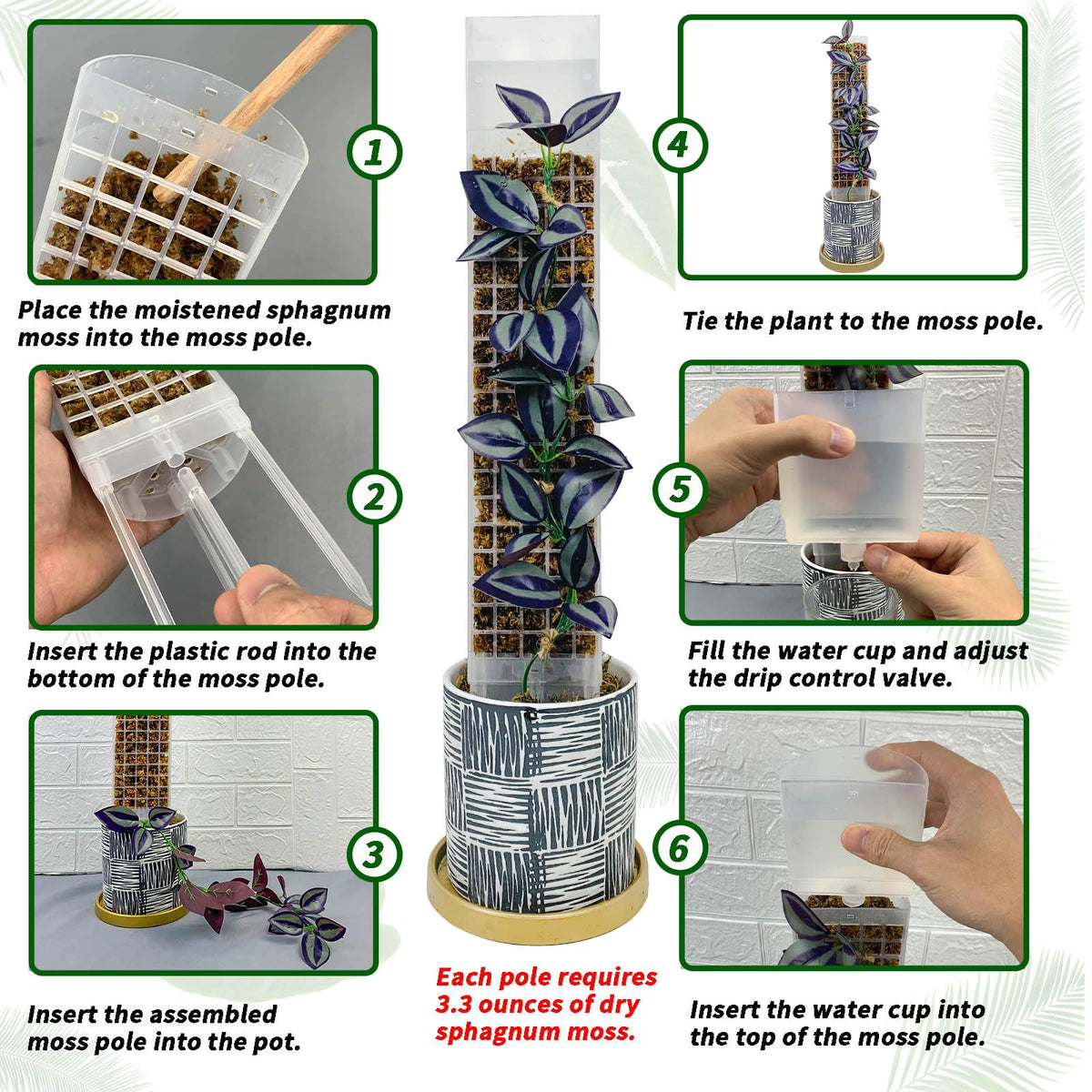 HYYZ self-watering cup on moss pole ensures steady hydration for busy days