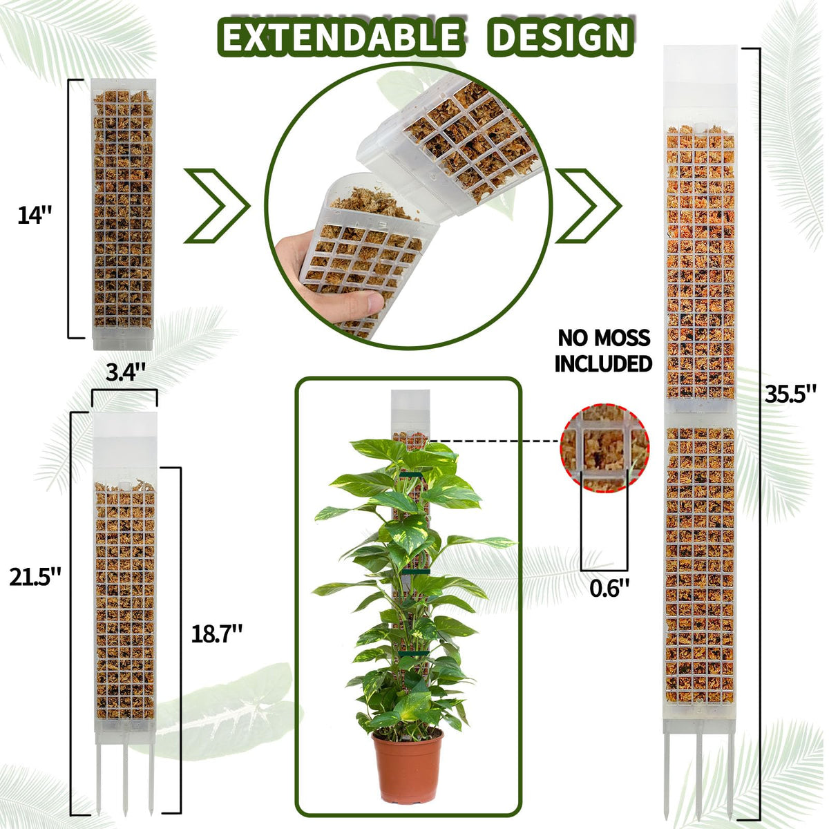 HYYZ moss pole extension enables height-ready stacking for taller indoor vines
