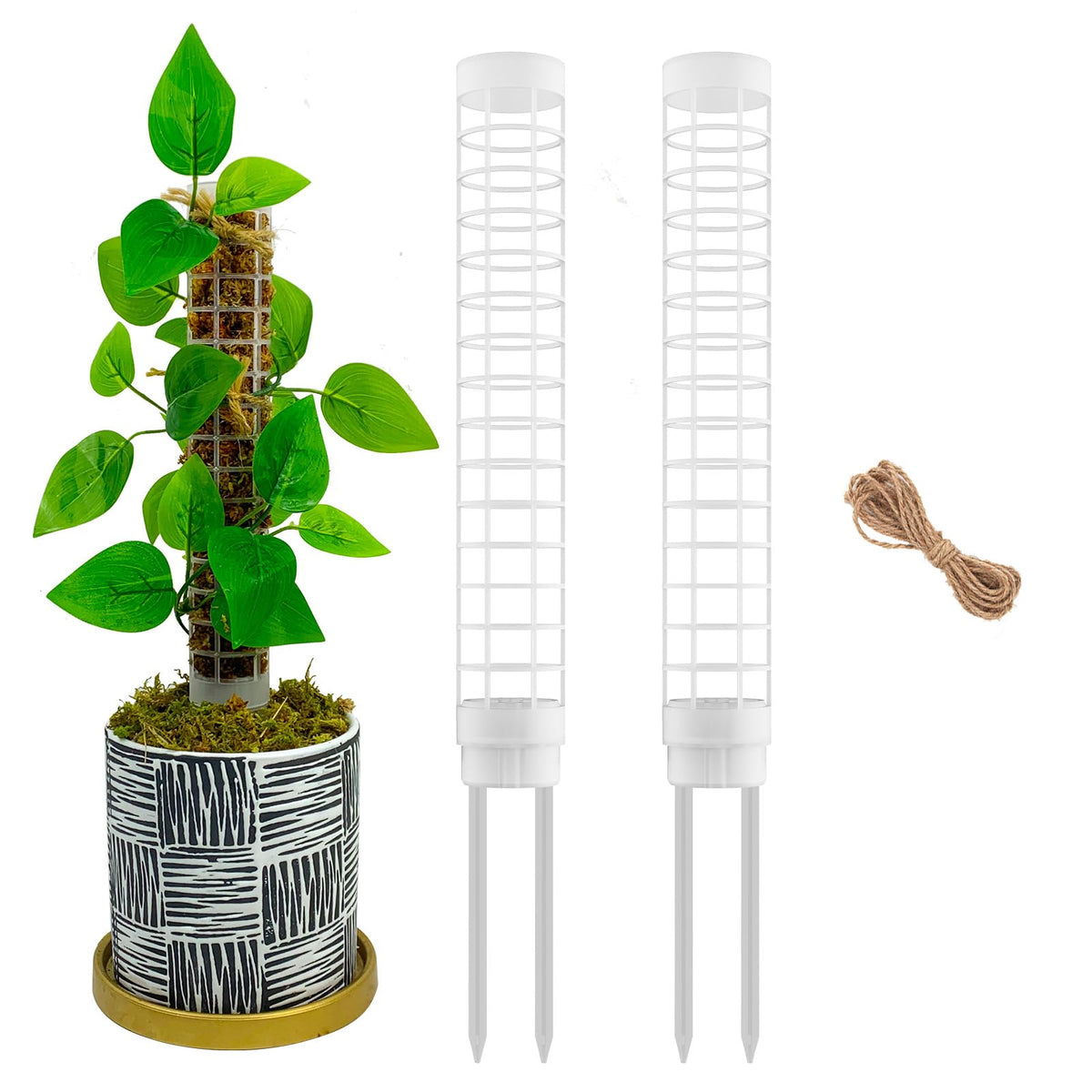 HYYZ small moss pole for Monstera with stackable design supports indoor climbing.