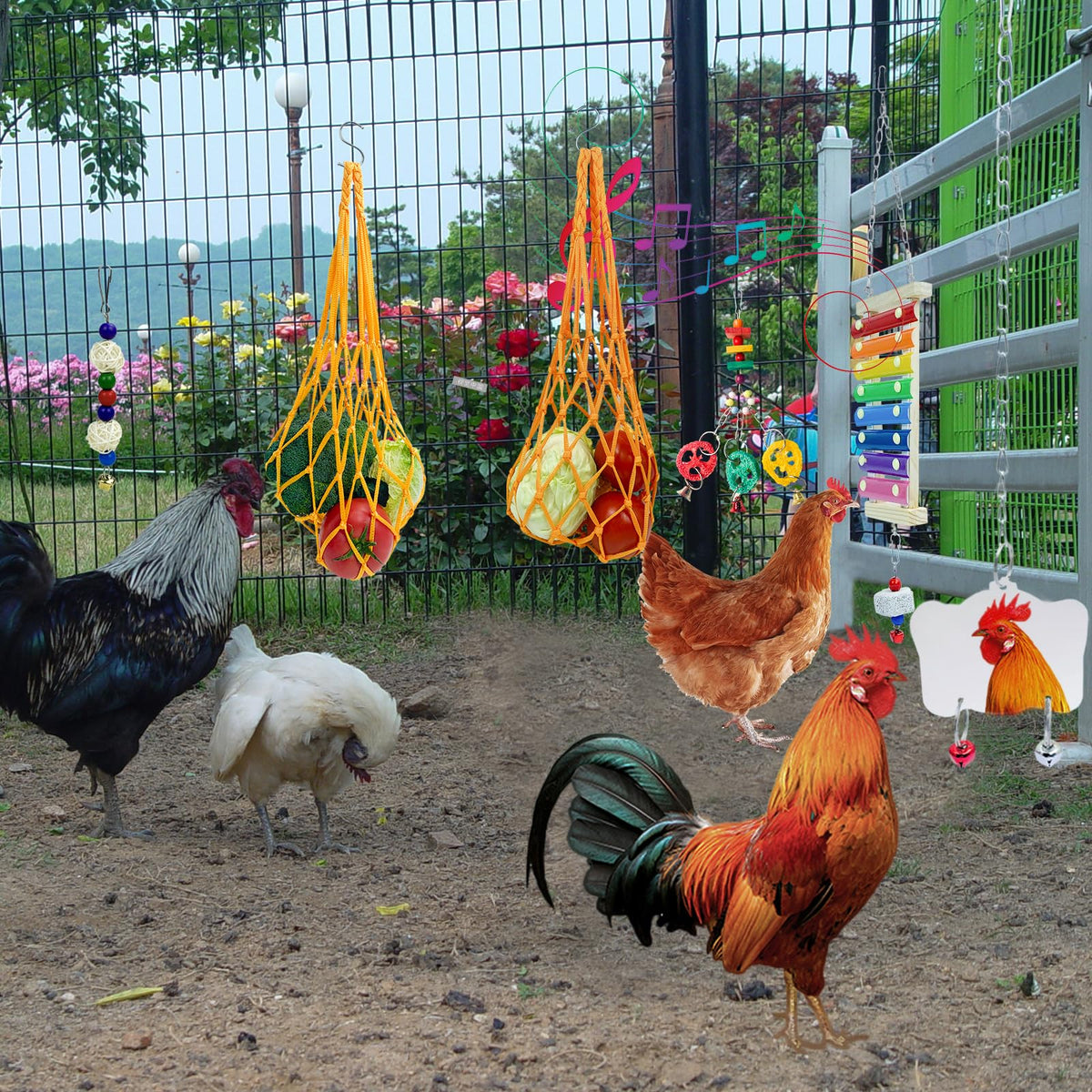 HZxoAxo grinding stone supports natural pecking behavior.
