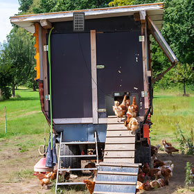 IBKINXX weather sealed door keeps the coop dry and warm.