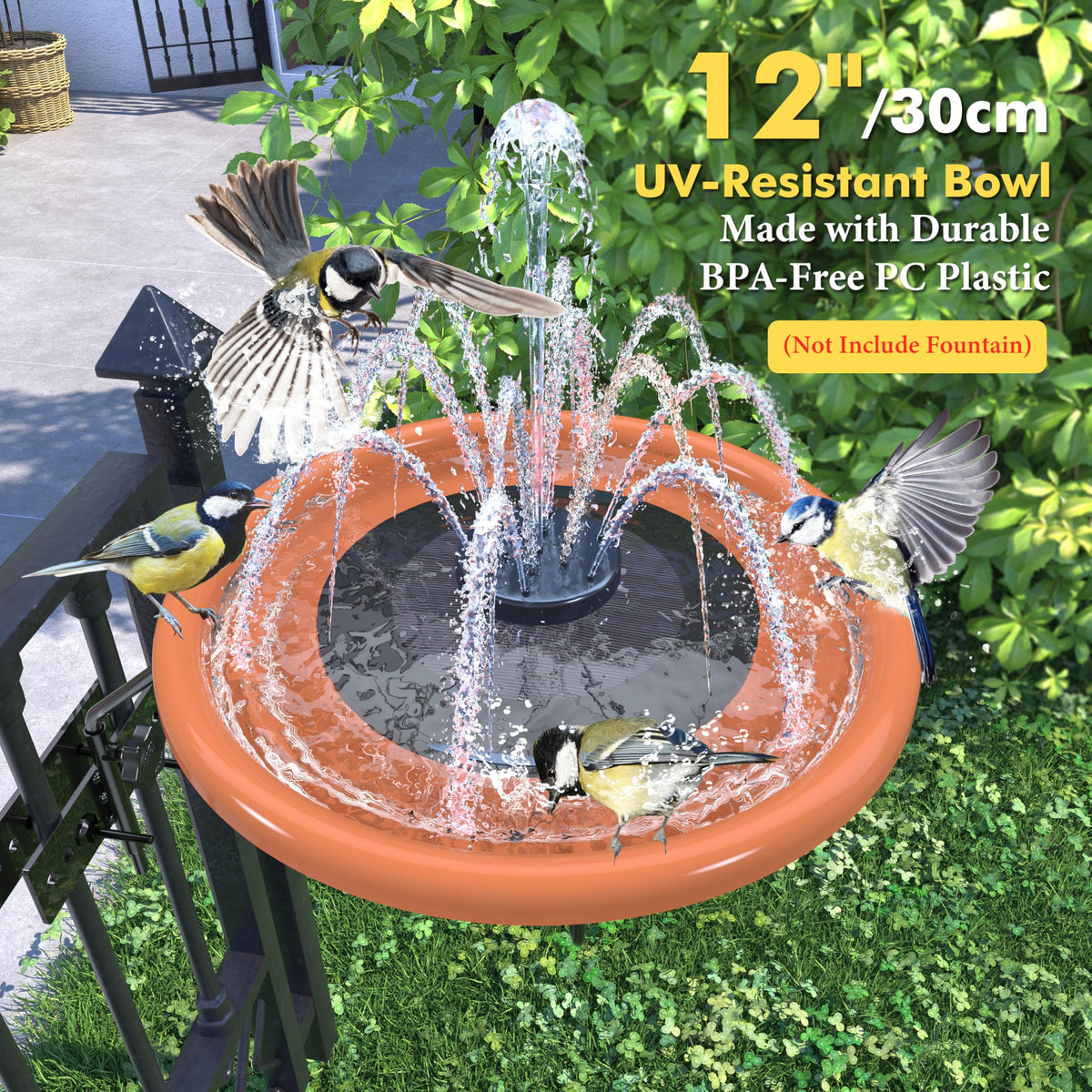 iBorn BPA-free bowl offers a safe option for drinking and bathing birds.