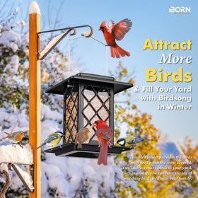 iBorn feeder features an 18 cm roof to keep seeds dry during rain