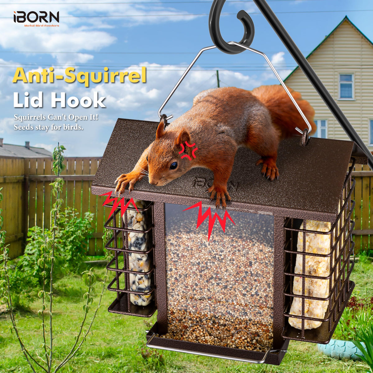 iBorn bird feeder with coffee roof and grid for seed protection and style.