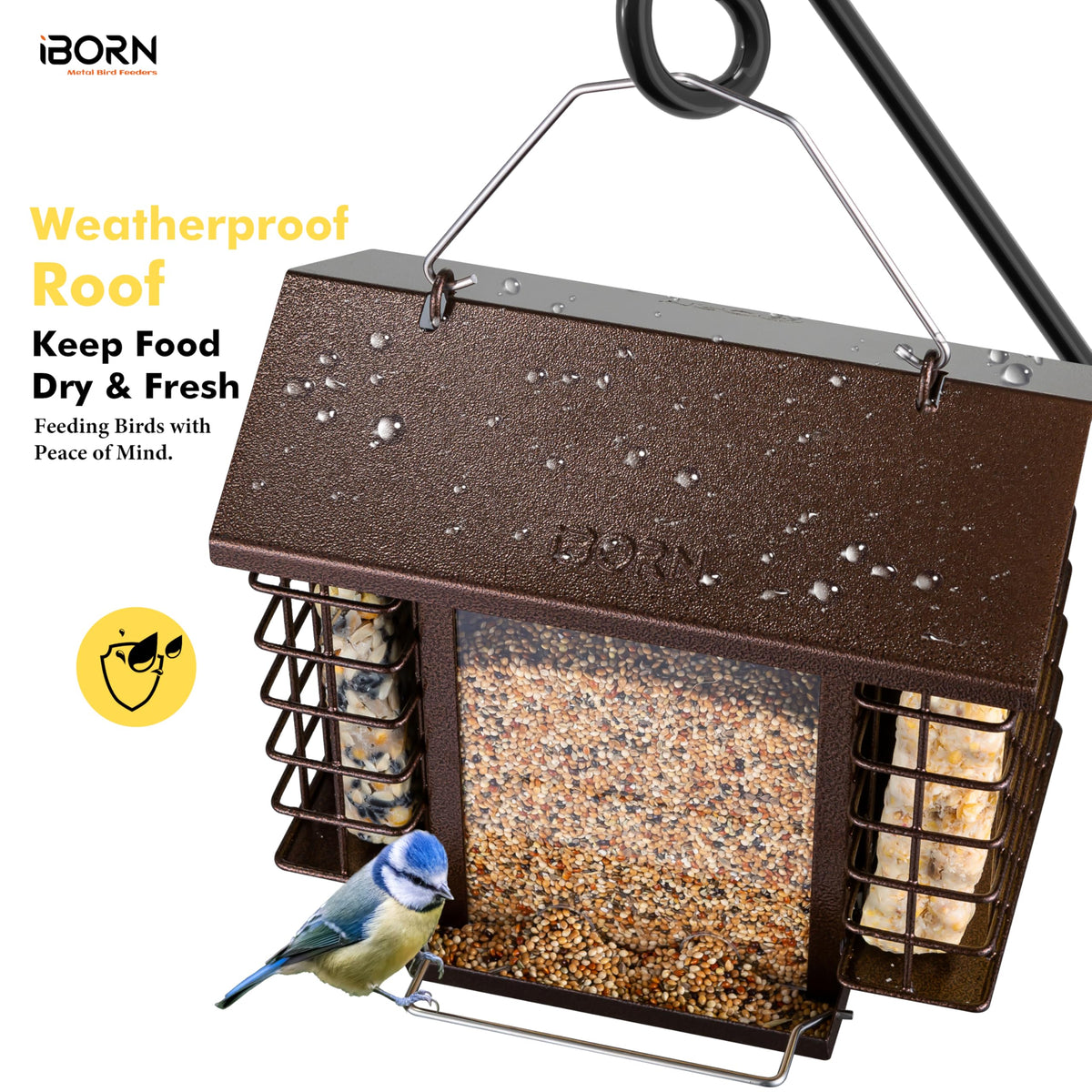 iBorn four-port system ensures smooth seed flow for visiting birds.