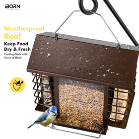 iBorn four-port system ensures smooth seed flow for visiting birds.