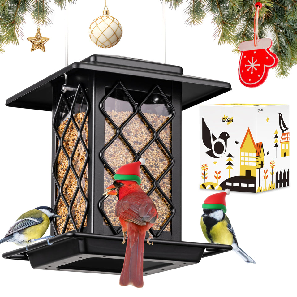iBorn lantern-style black bird feeder with elegant outdoor charm and easy viewing