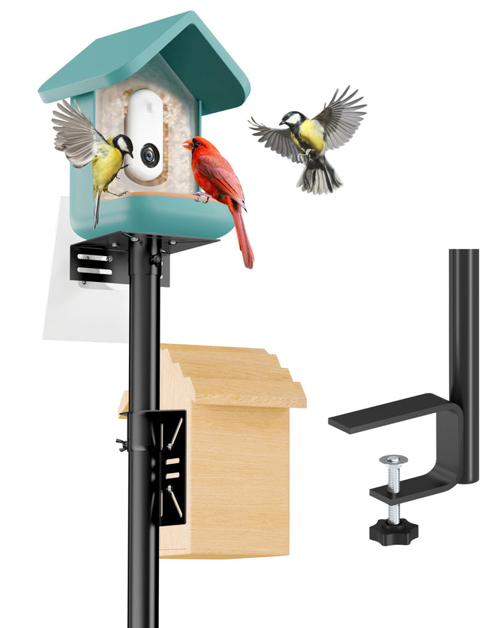 The iBorn bird feeder pole on a deck clamp provides secure outdoor mounting.