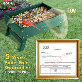 iBorn rohs safety tray indicates safe handling and family-friendly use