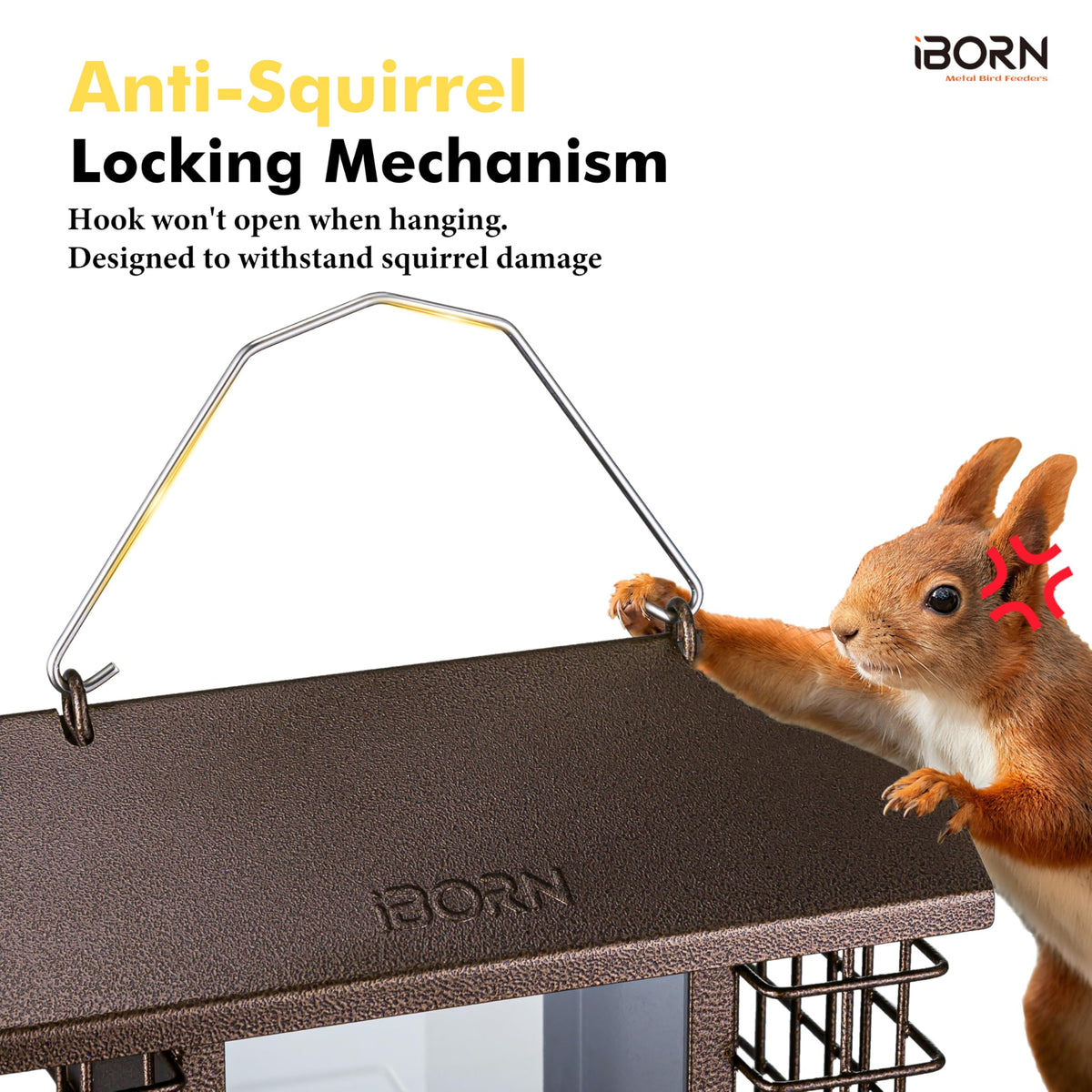 iBorn weatherproof metal roof shields seeds from rain for dry feeding.
