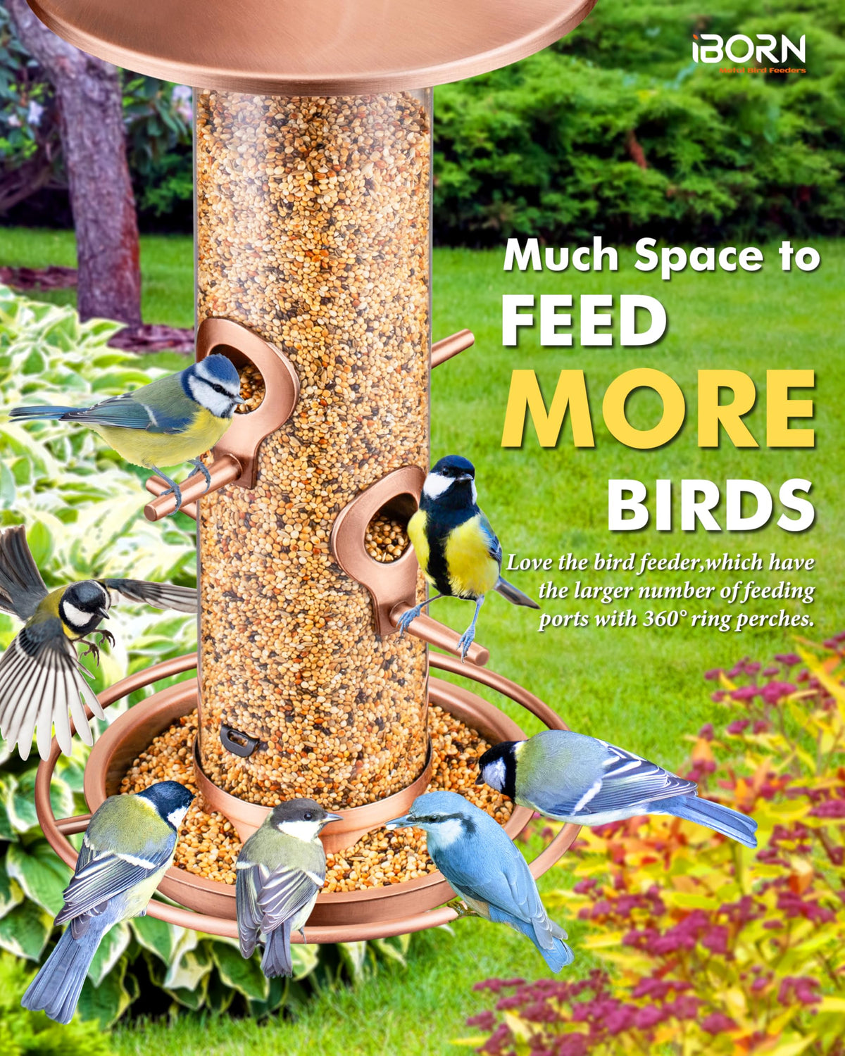 iBorn bird feeder outdoors 360-degree ring perch invites birds to perch comfortably