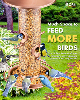iBorn bird feeder outdoors 360-degree ring perch invites birds to perch comfortably