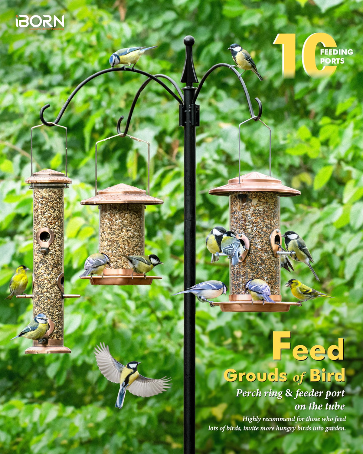 iBorn brushed copper feeder with 18cm roof and tray keeps seeds dry