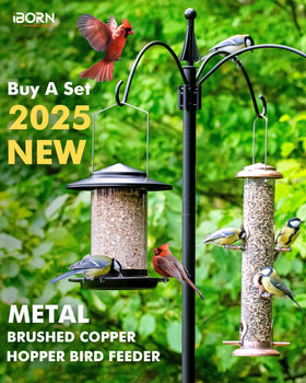 iBorn feeder with port-controlled flow reduces waste.