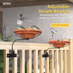 iBorn deep 3.5-inch basin invites birds to bathe and sip comfortably.