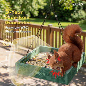 iBorn deformation-resistant structure ensures long-lasting shape in variable weather.
