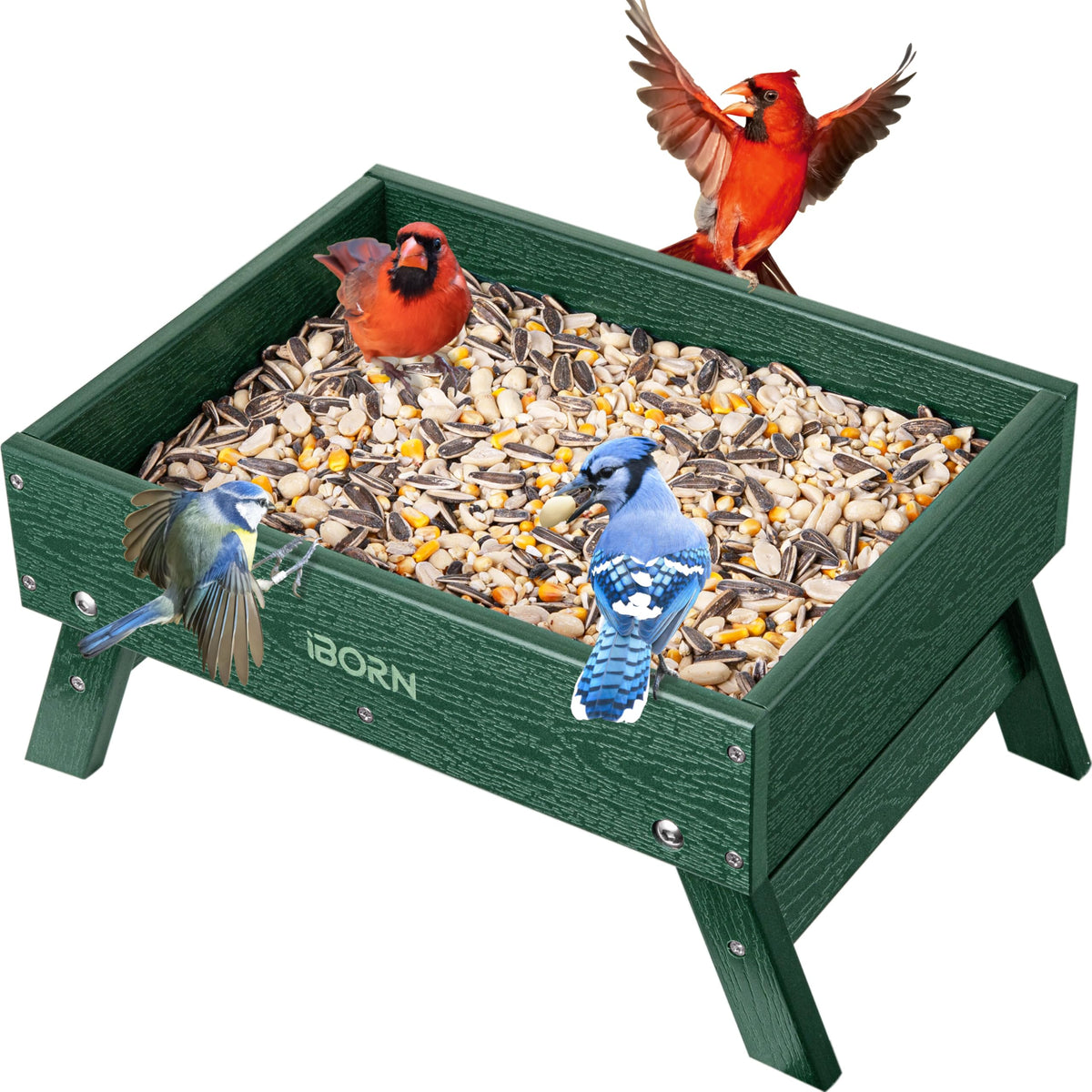iBorn ground bird feeder wide view showing spacious platform for birds and easy viewing