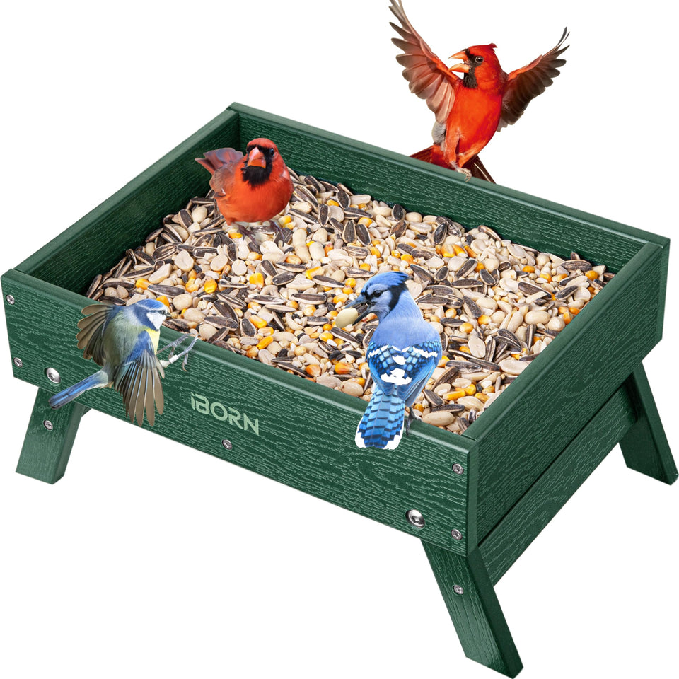 iBorn ground bird feeder wide view showing spacious platform for birds and easy viewing