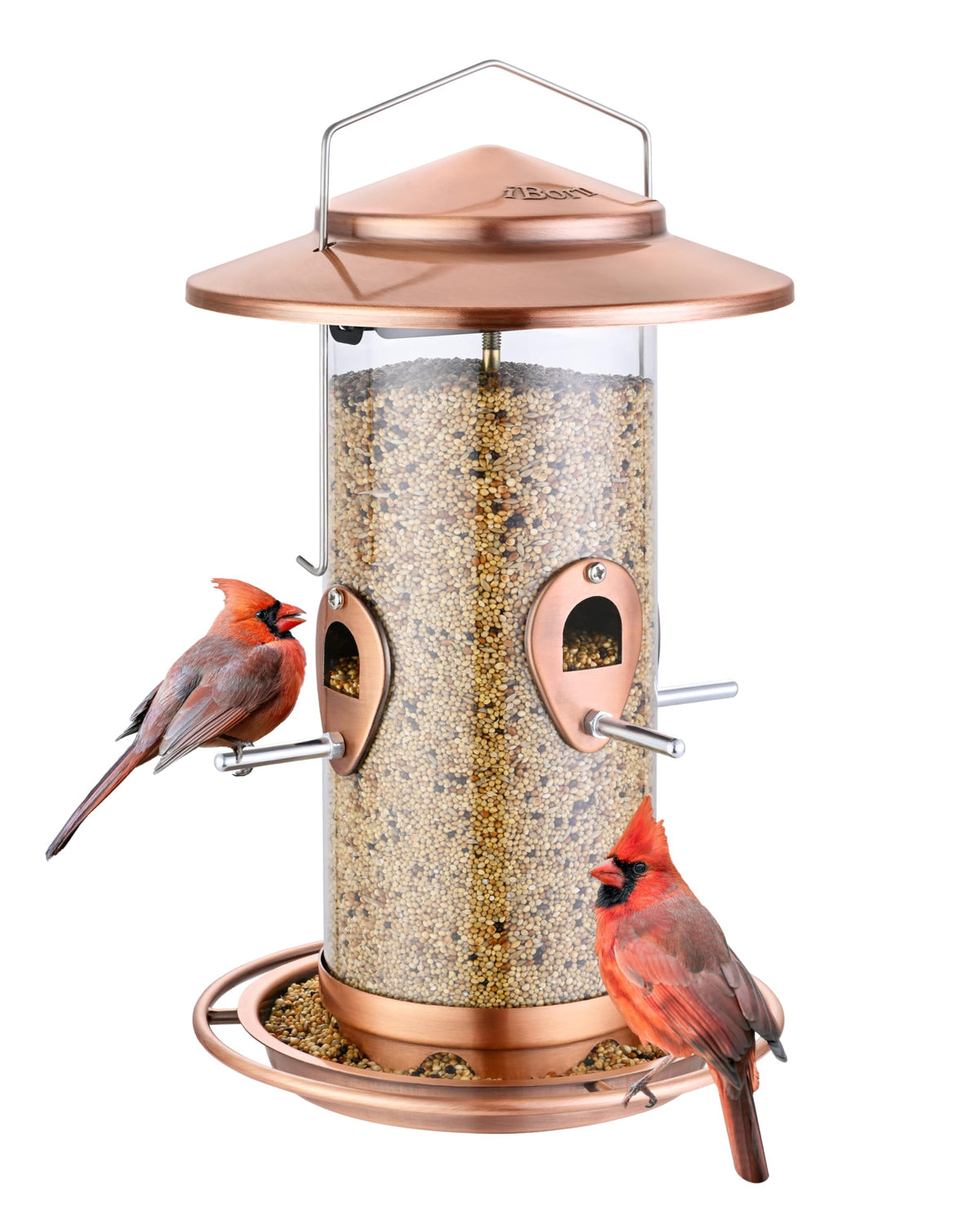 iBorn metal bird feeder outside hanging with 10 ports for easy daily feeding