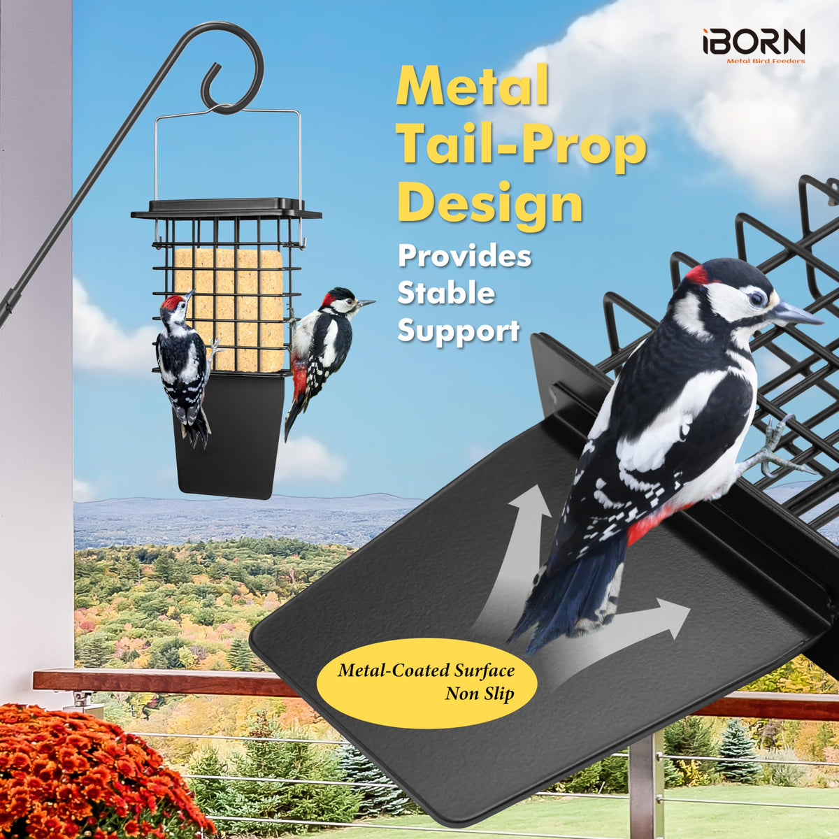 iBorn Metal Suet Feeder bottom tray catches crumbs and debris.