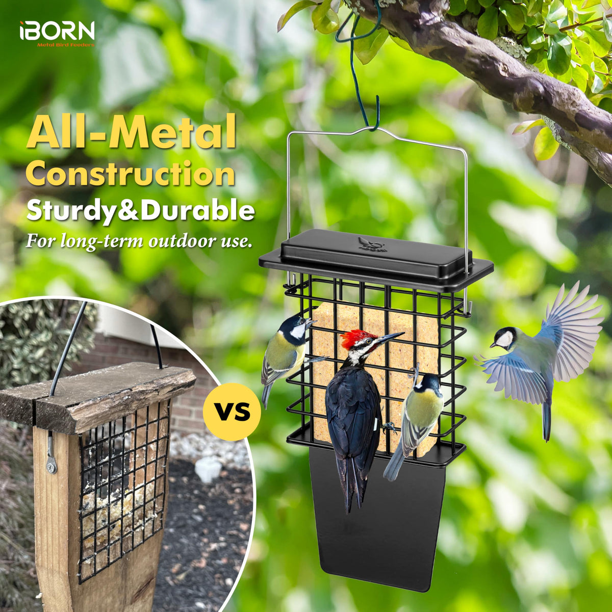 iBorn Metal Suet Feeder fixed hanger resists wind and swinging.