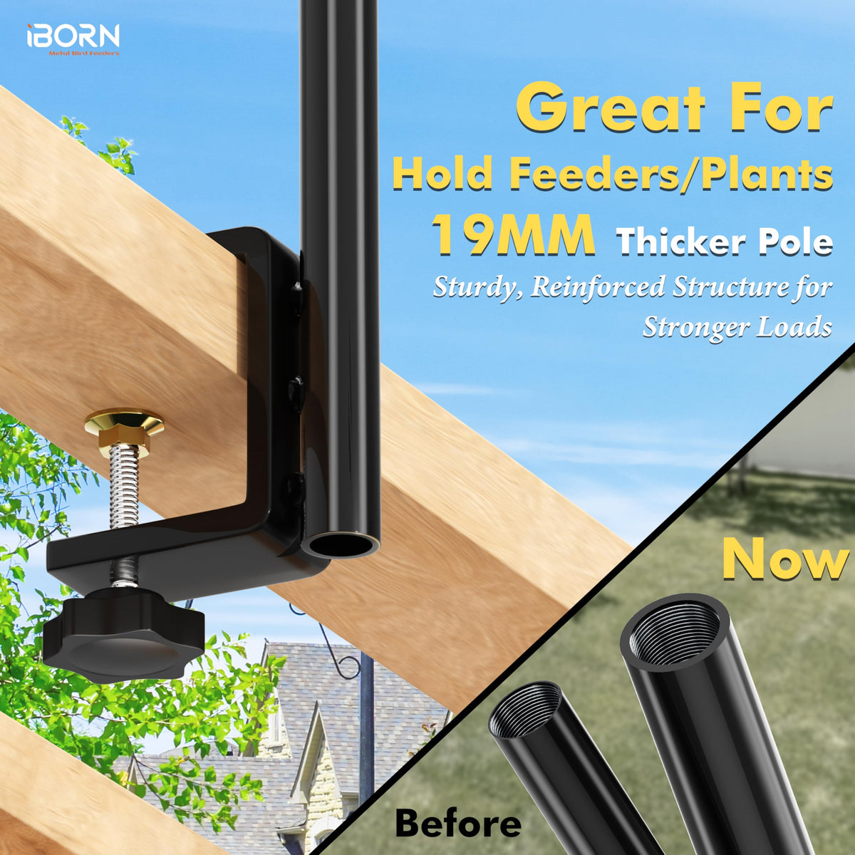 iBorn fast five minute assembly without tools to start enjoying birds.