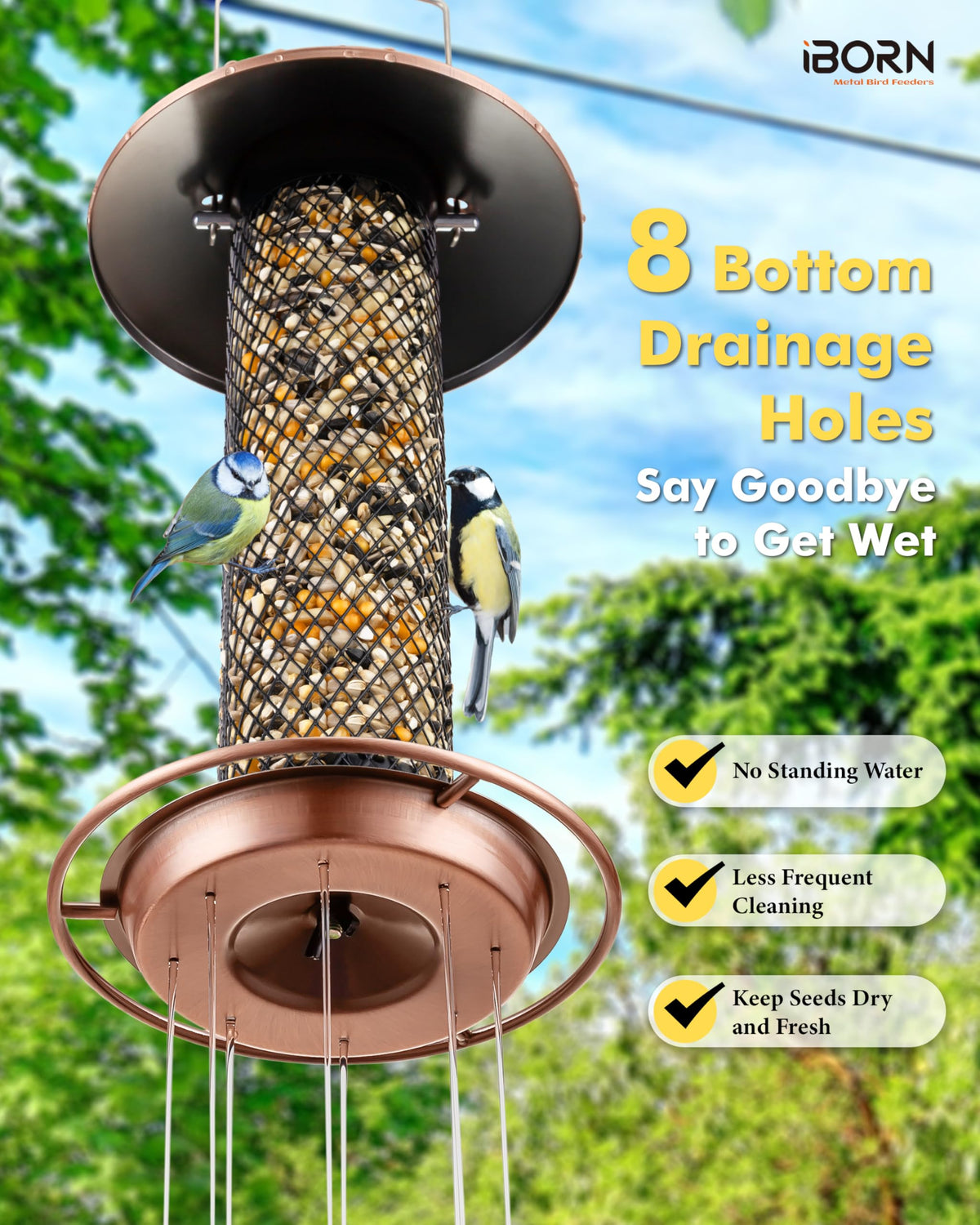 iBorn Peanut Bird Feeder spill-proof design keeps seeds contained